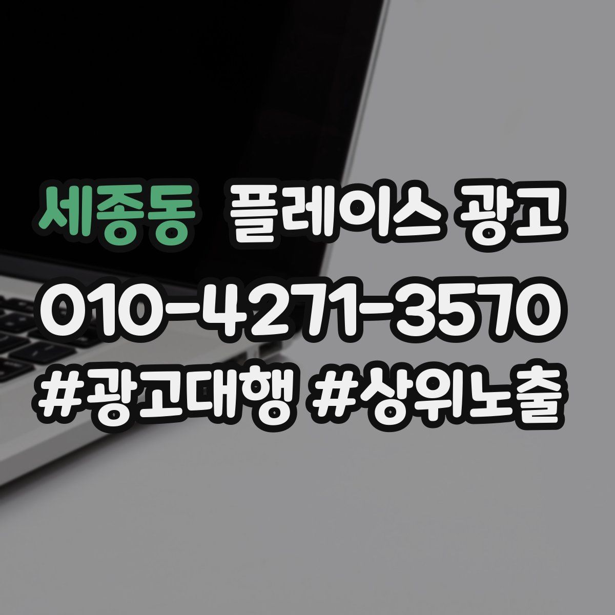 세종동 플레이스 광고