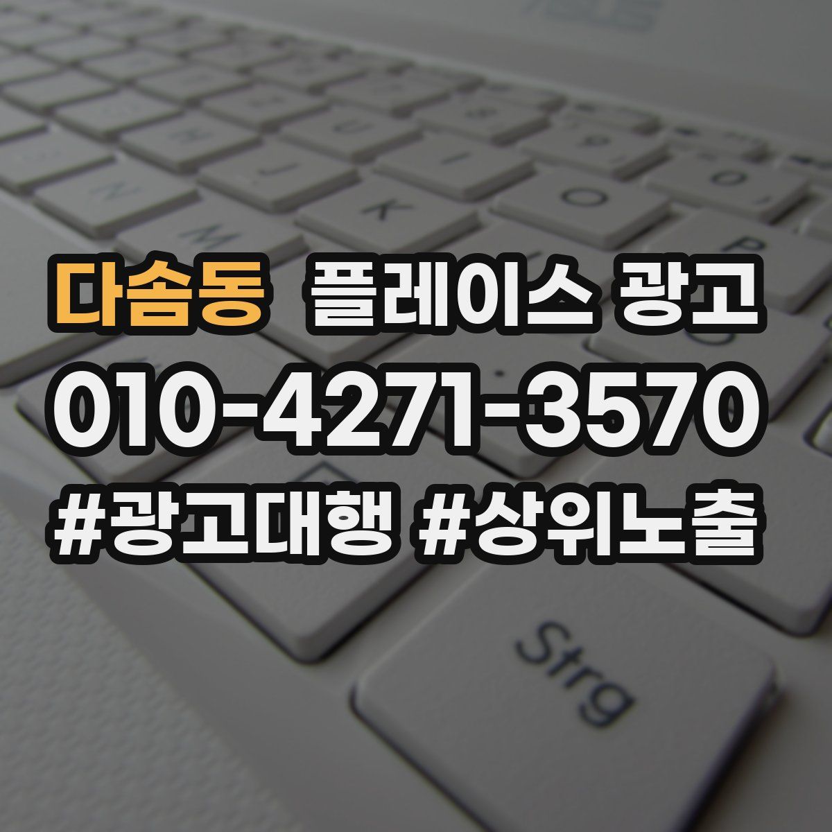 다솜동 플레이스 광고
