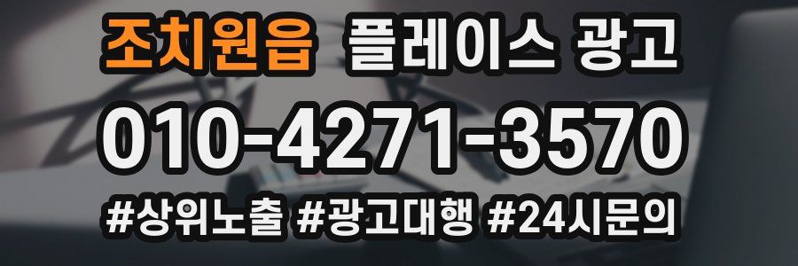 조치원읍 플레이스 광고