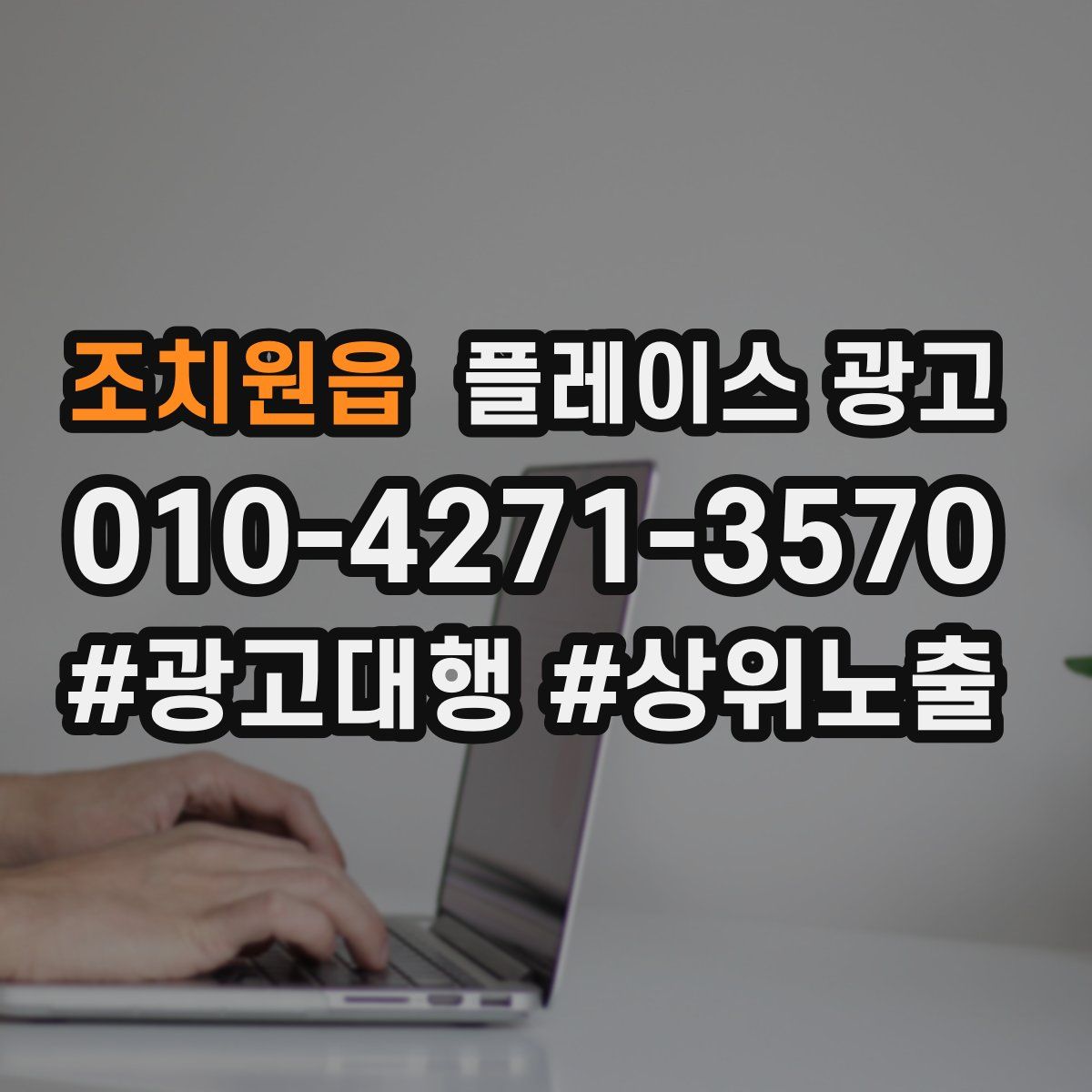 조치원읍 플레이스 광고