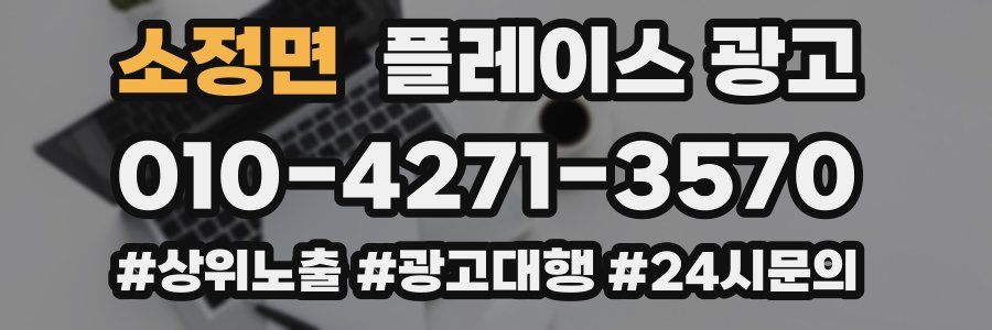 소정면 플레이스 광고