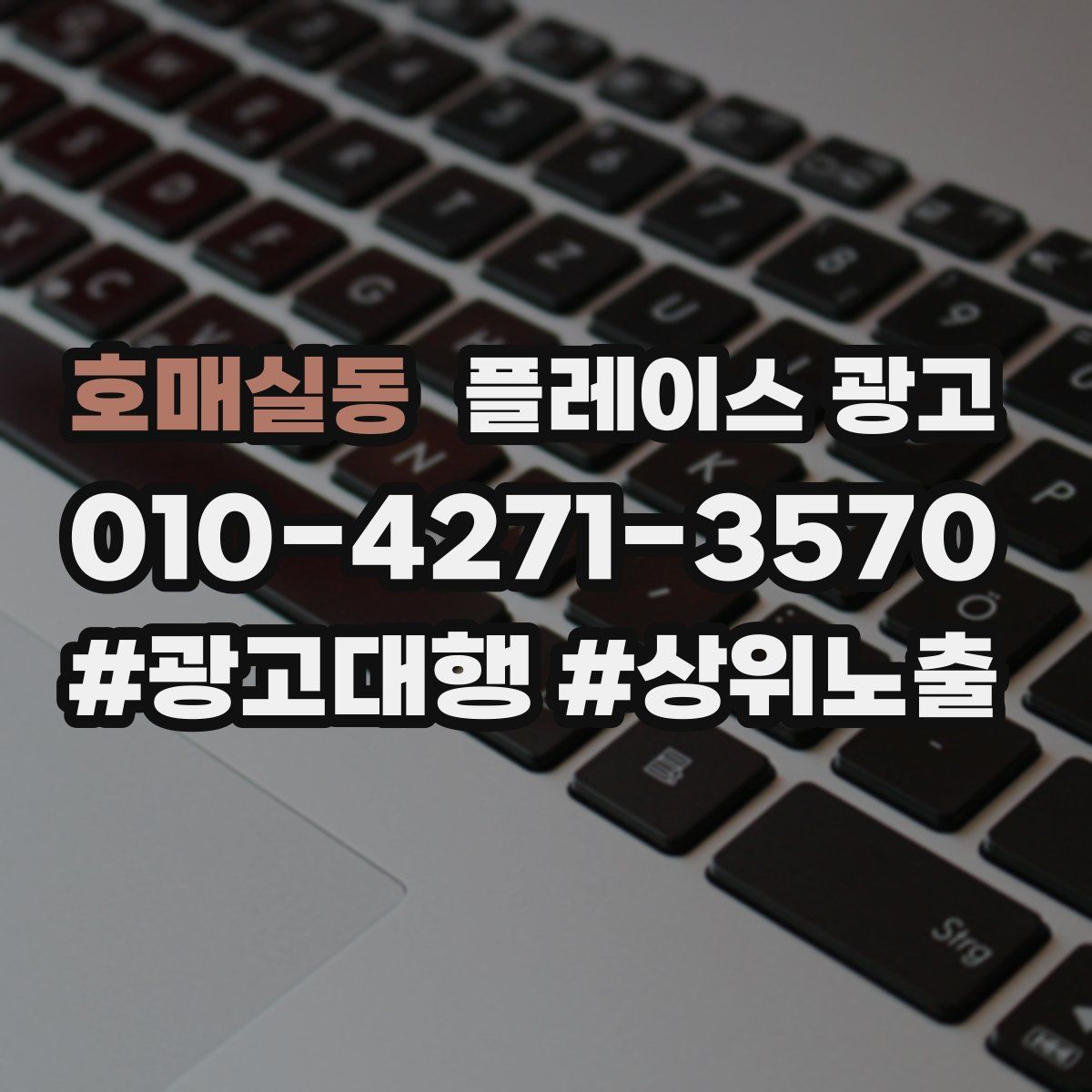 호매실동 플레이스 광고