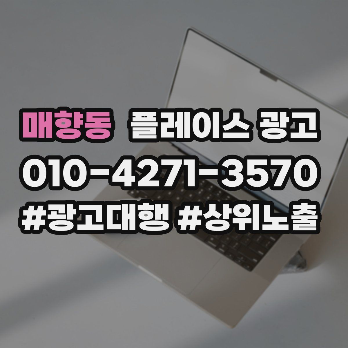 매향동 플레이스 광고
