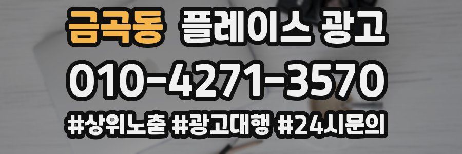금곡동 플레이스 광고