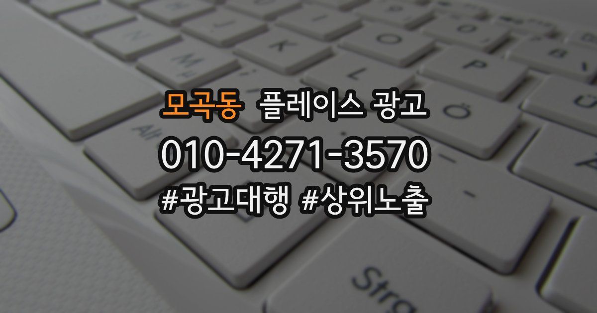 모곡동 플레이스 광고