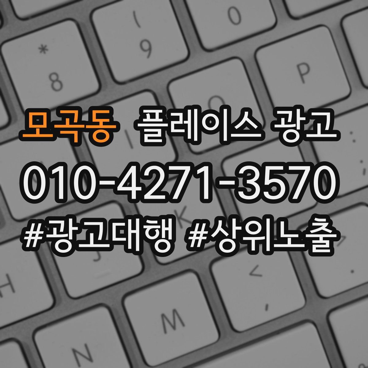 모곡동 플레이스 광고