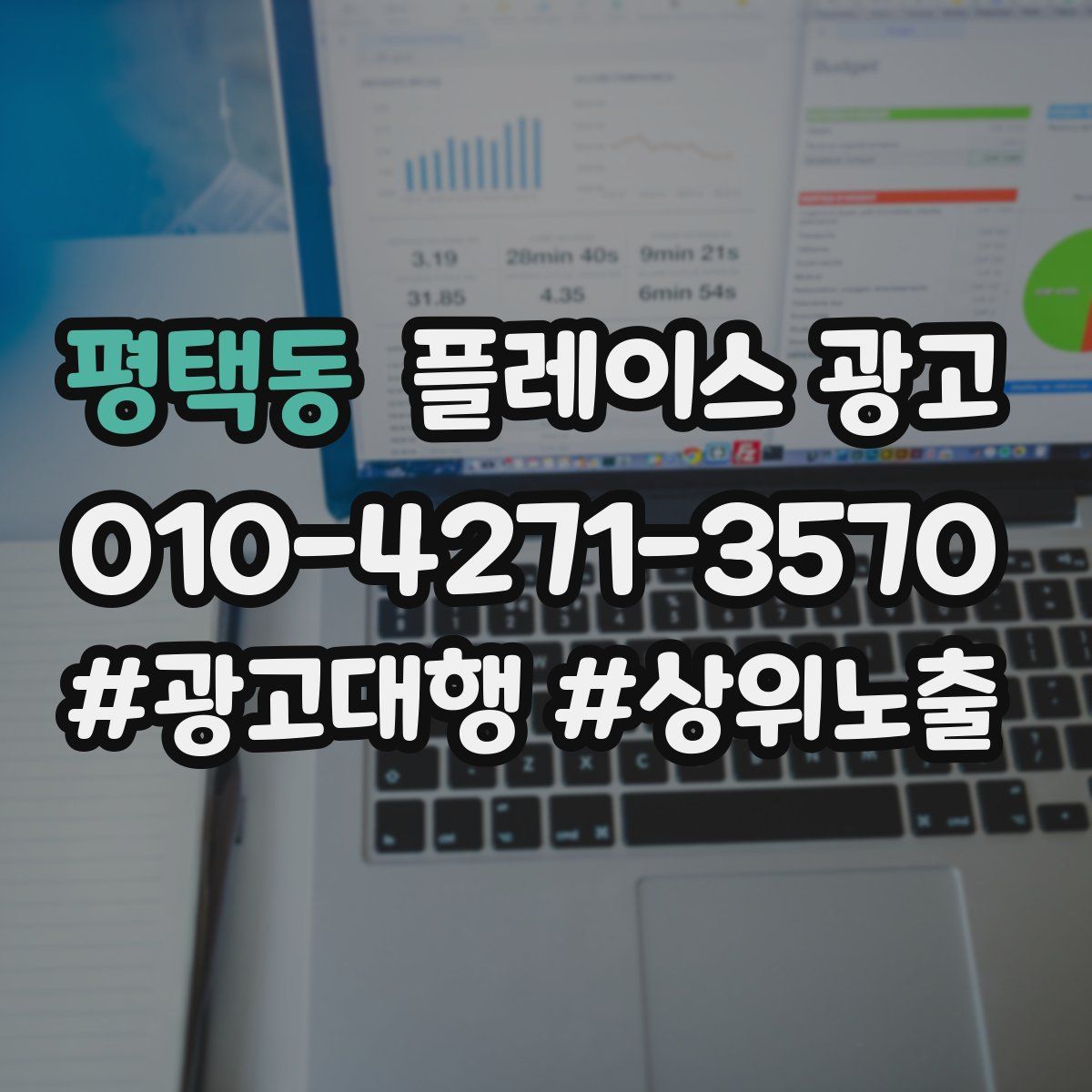 평택동 플레이스 광고