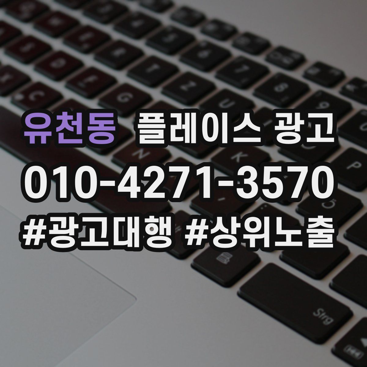유천동 플레이스 광고