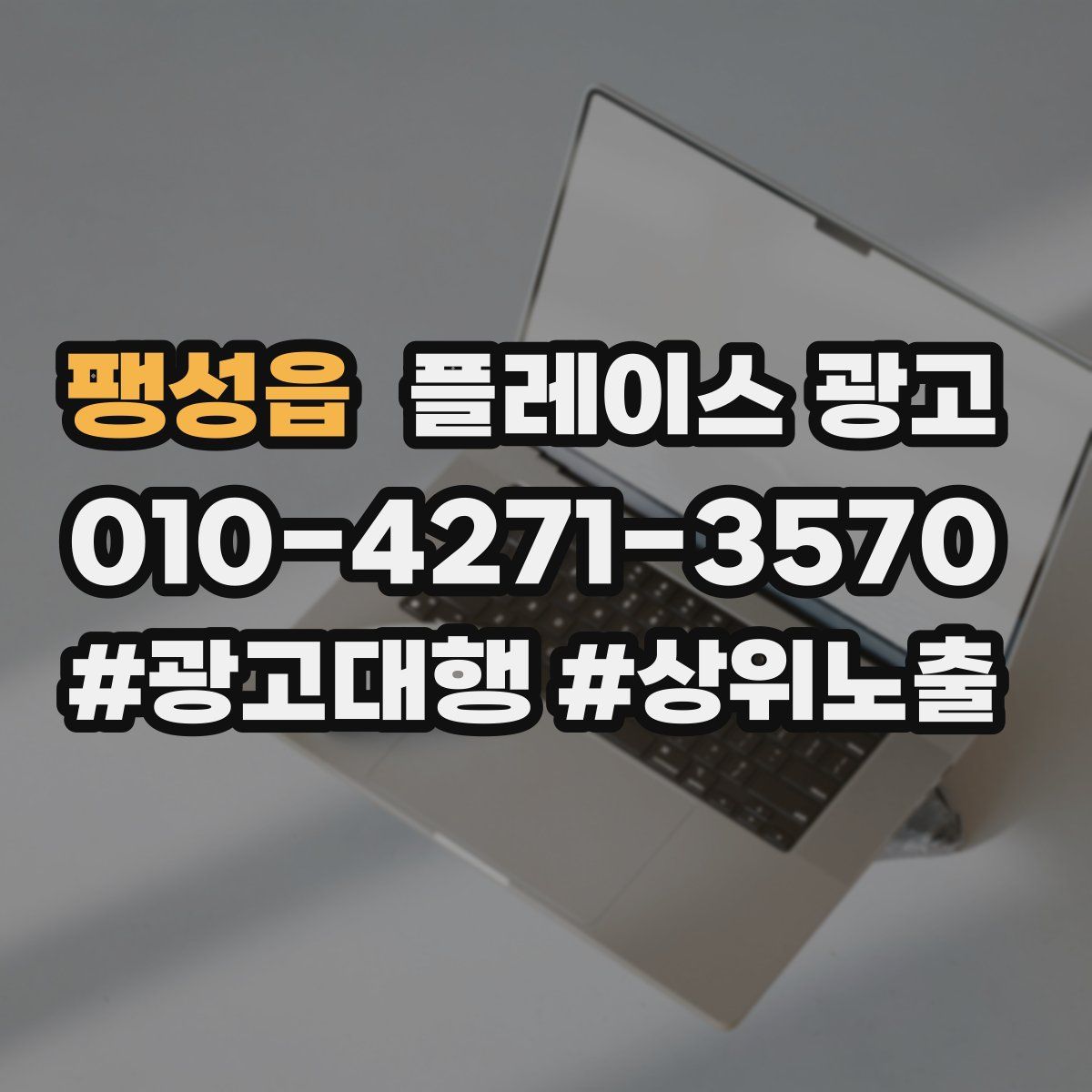 팽성읍 플레이스 광고