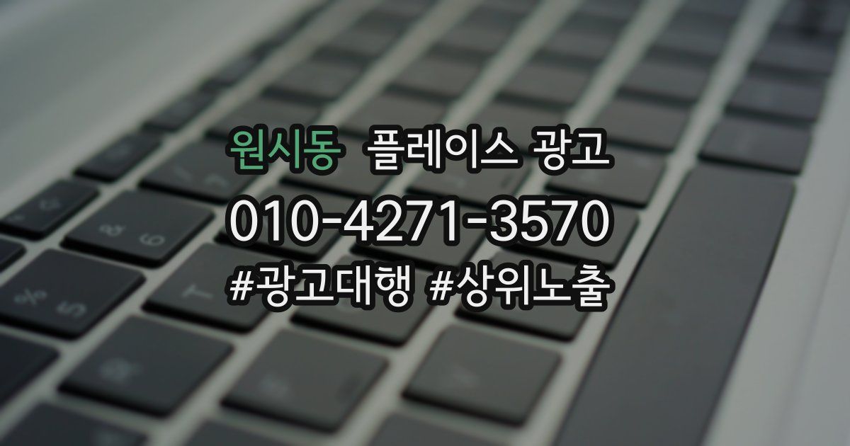 원시동 플레이스 광고