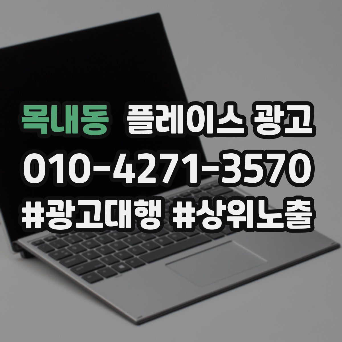 목내동 플레이스 광고