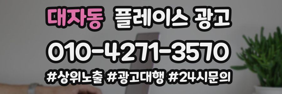 대자동 플레이스 광고