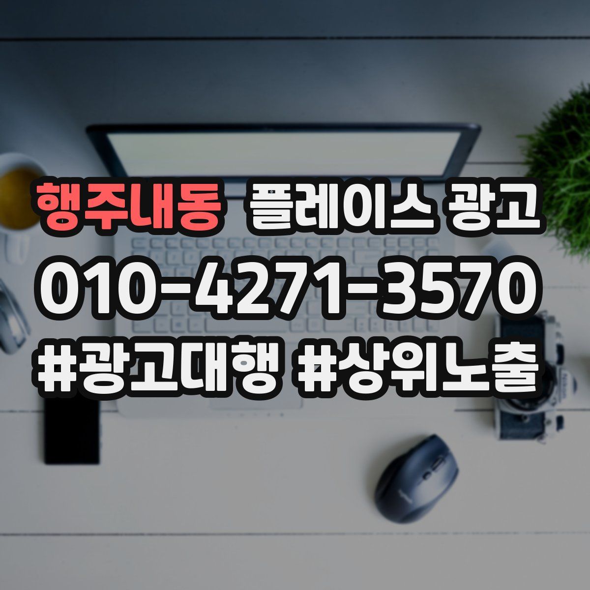 행주내동 플레이스 광고