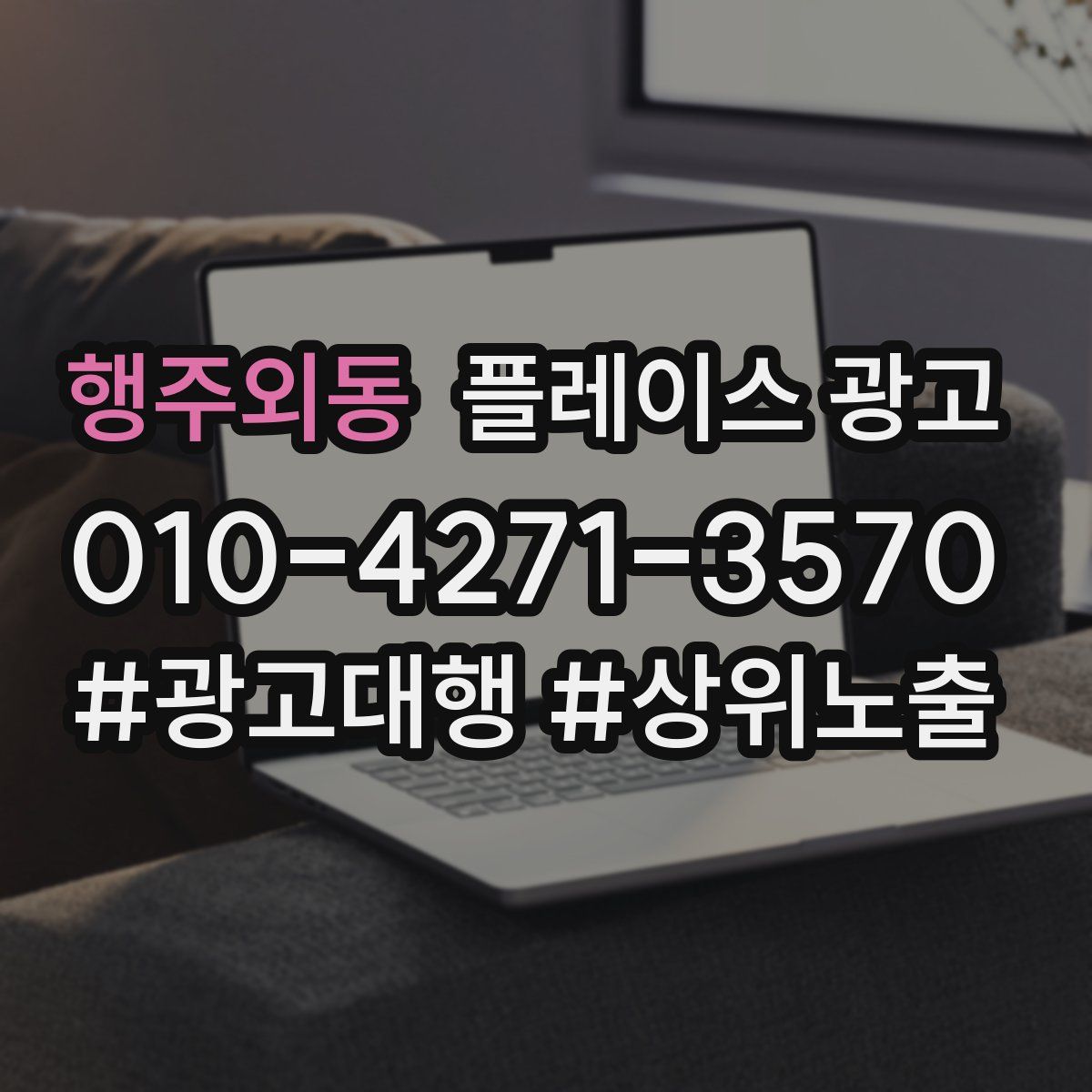 행주외동 플레이스 광고