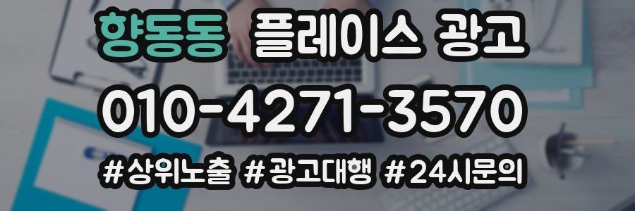 향동동 플레이스 광고