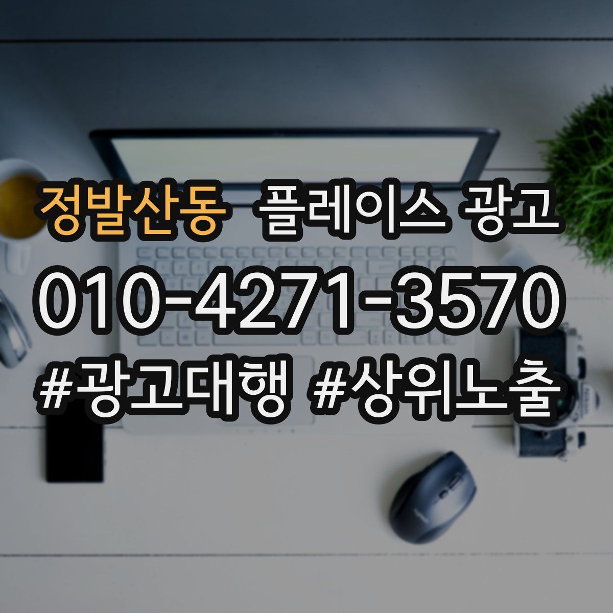 정발산동 플레이스 광고