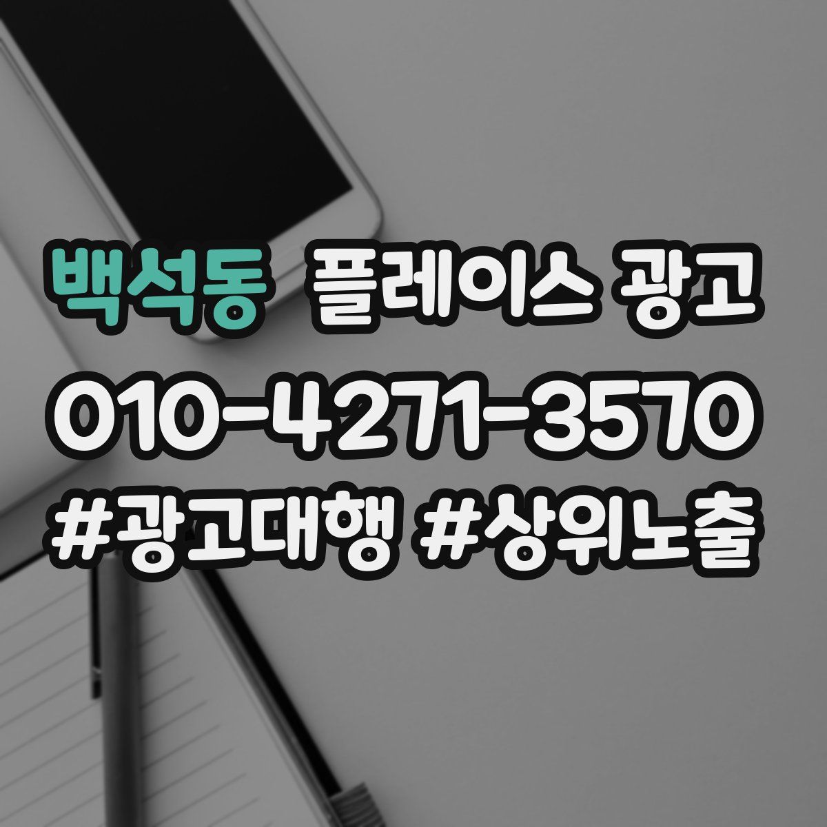 백석동 플레이스 광고