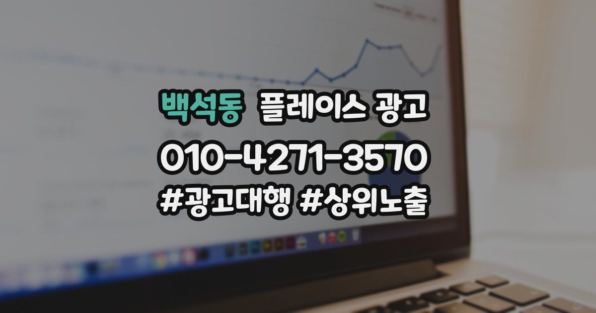 백석동 플레이스 광고