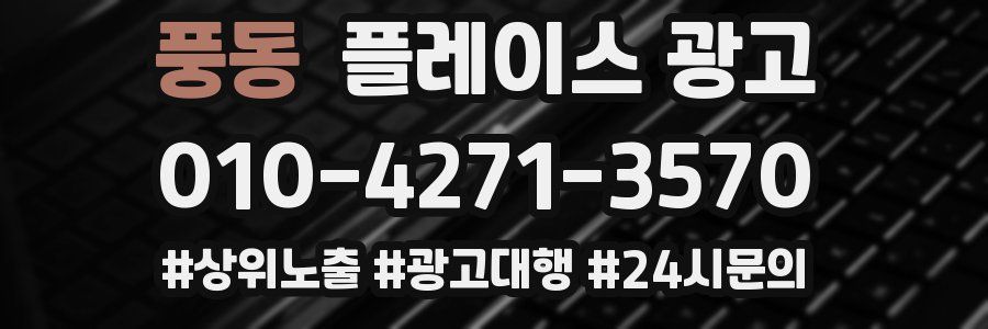 풍동 플레이스 광고