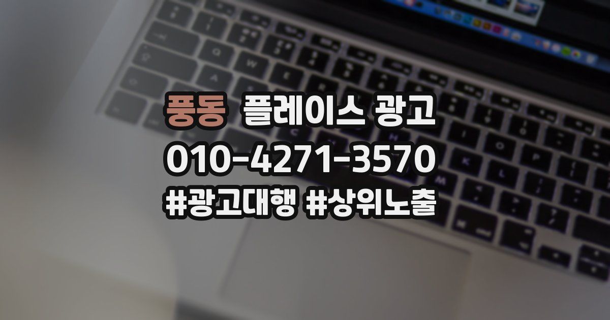 풍동 플레이스 광고