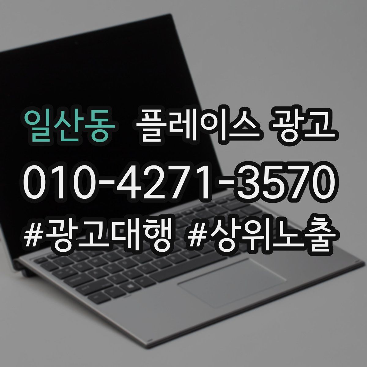 일산동 플레이스 광고