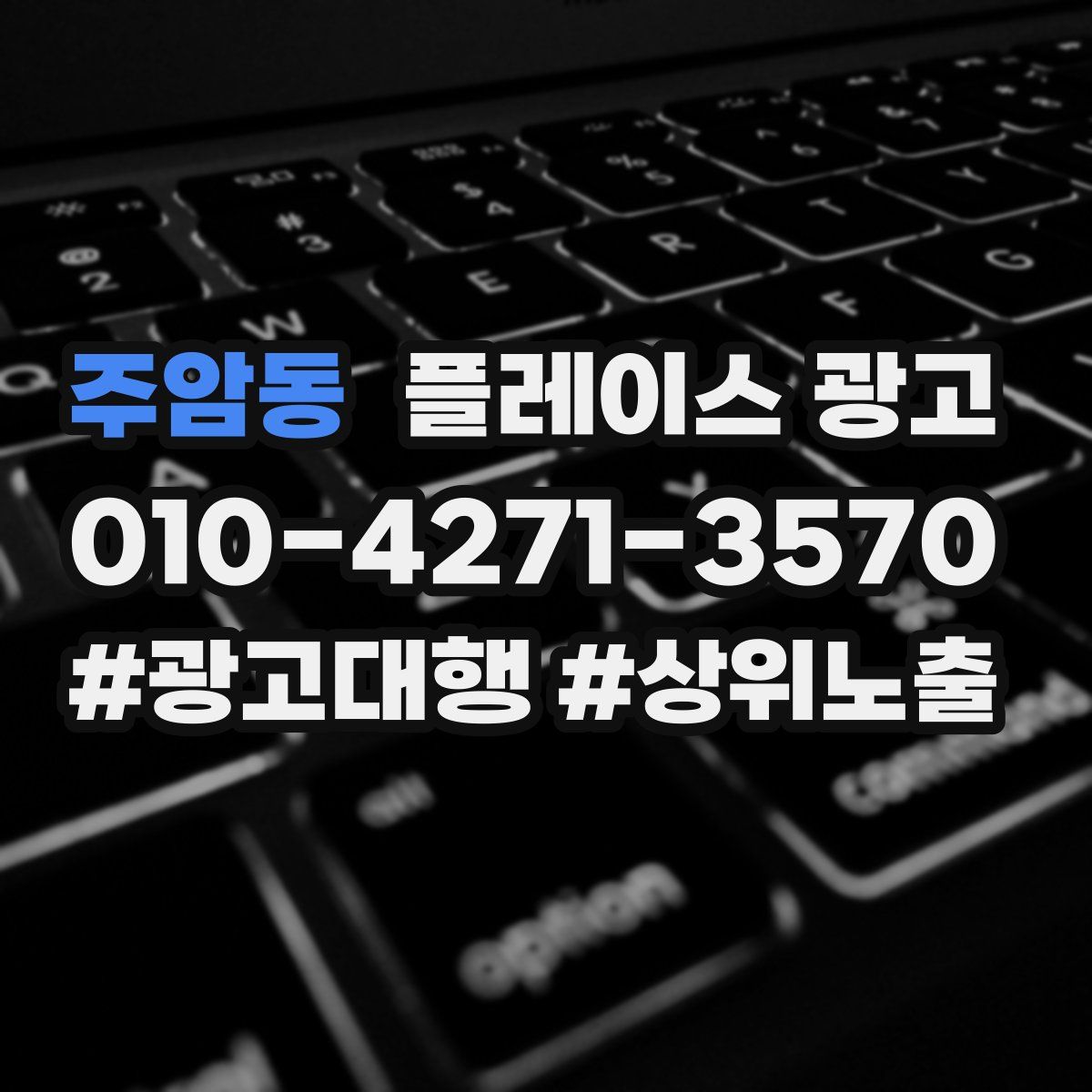 주암동 플레이스 광고