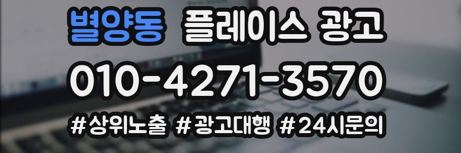 별양동 플레이스 광고