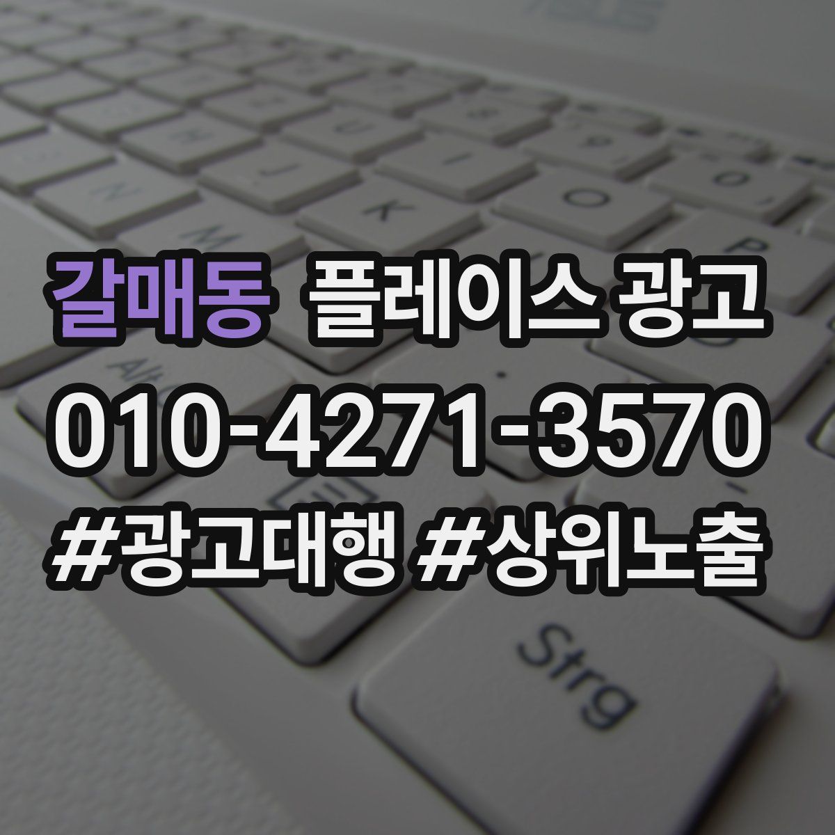 갈매동 플레이스 광고