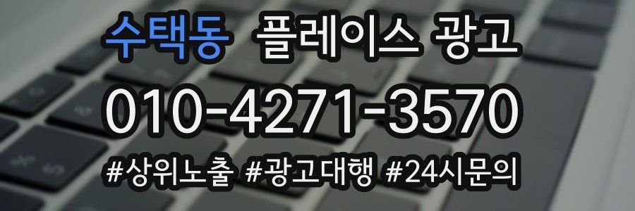 수택동 플레이스 광고