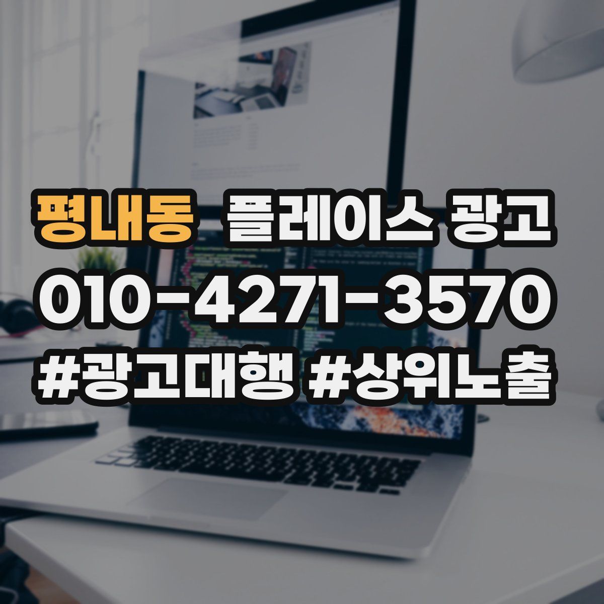 평내동 플레이스 광고