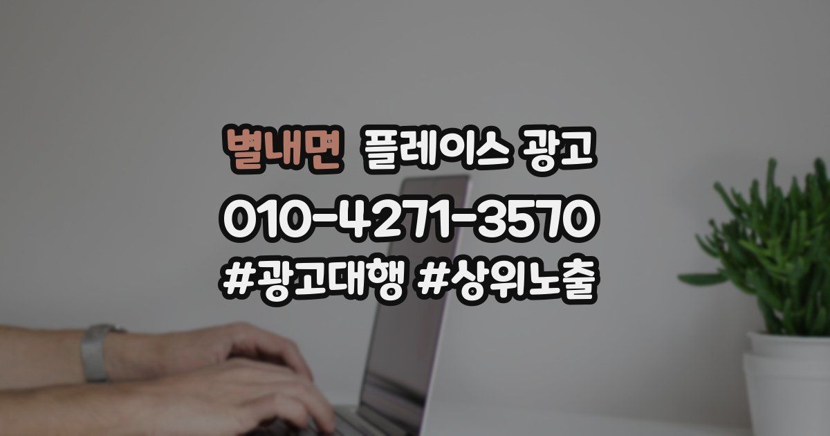 별내면 플레이스 광고