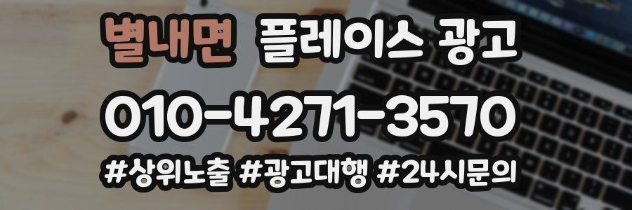 별내면 플레이스 광고