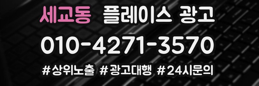세교동 플레이스 광고