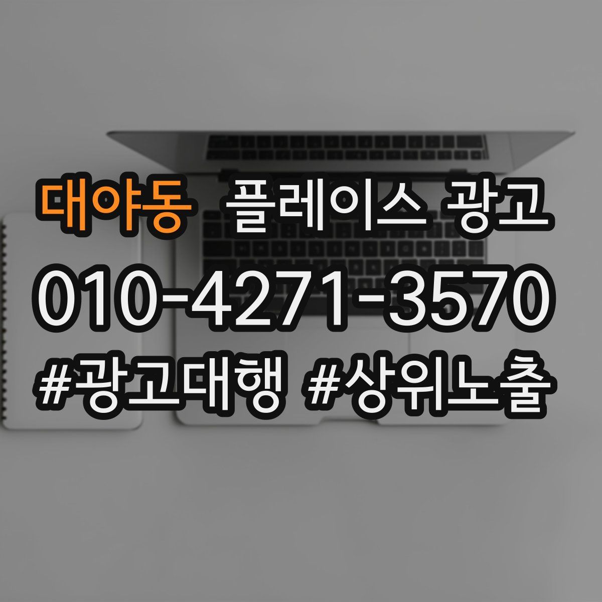 대야동 플레이스 광고