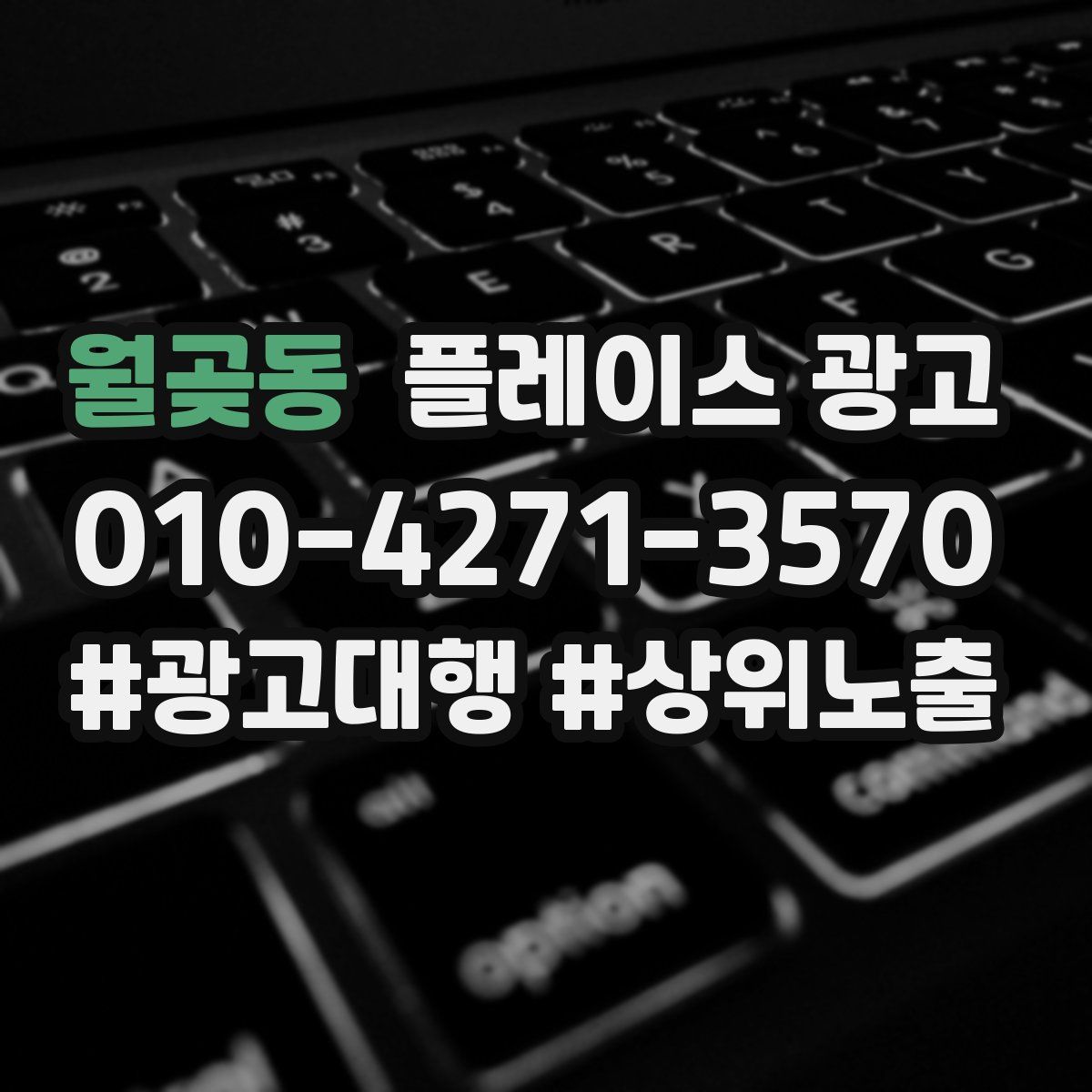 월곶동 플레이스 광고