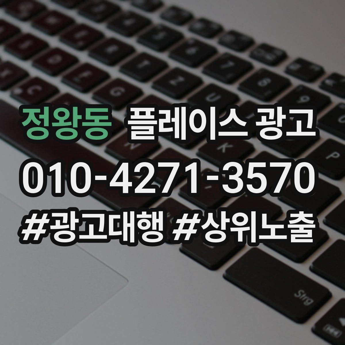 정왕동 플레이스 광고