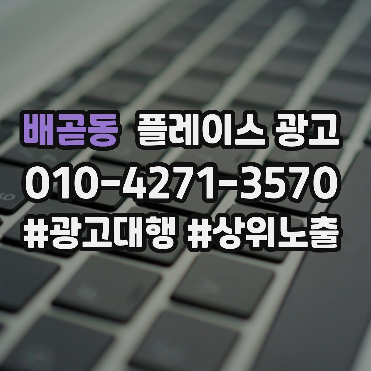배곧동 플레이스 광고