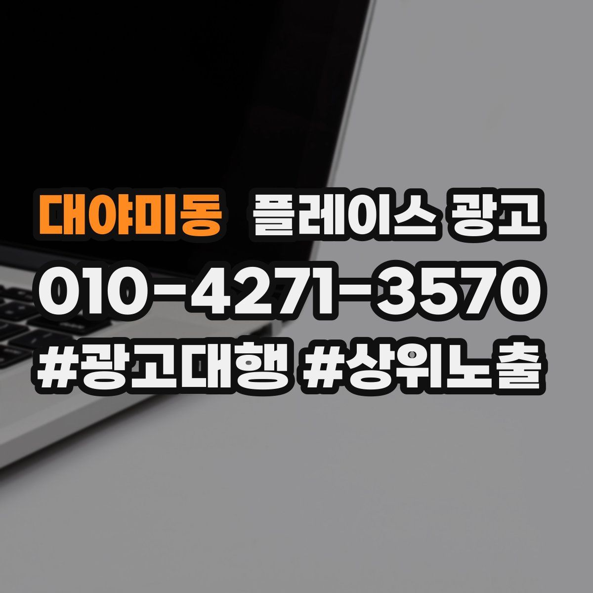 대야미동 플레이스 광고