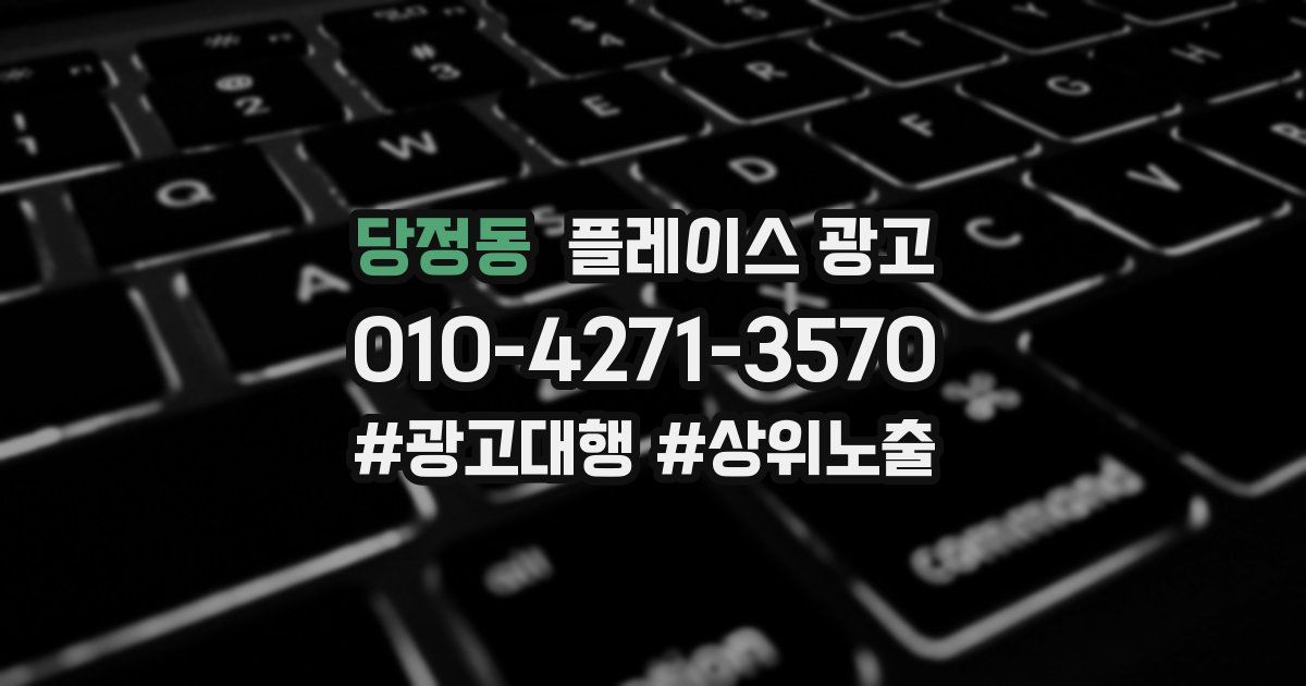 당정동 플레이스 광고