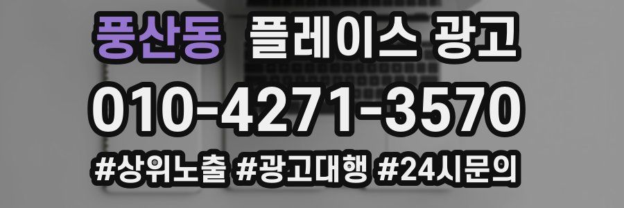 풍산동 플레이스 광고