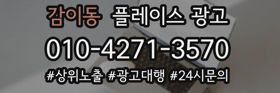 감이동 플레이스 광고