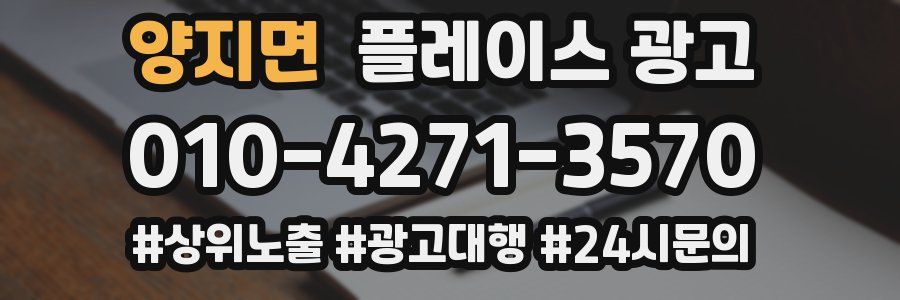 양지면 플레이스 광고