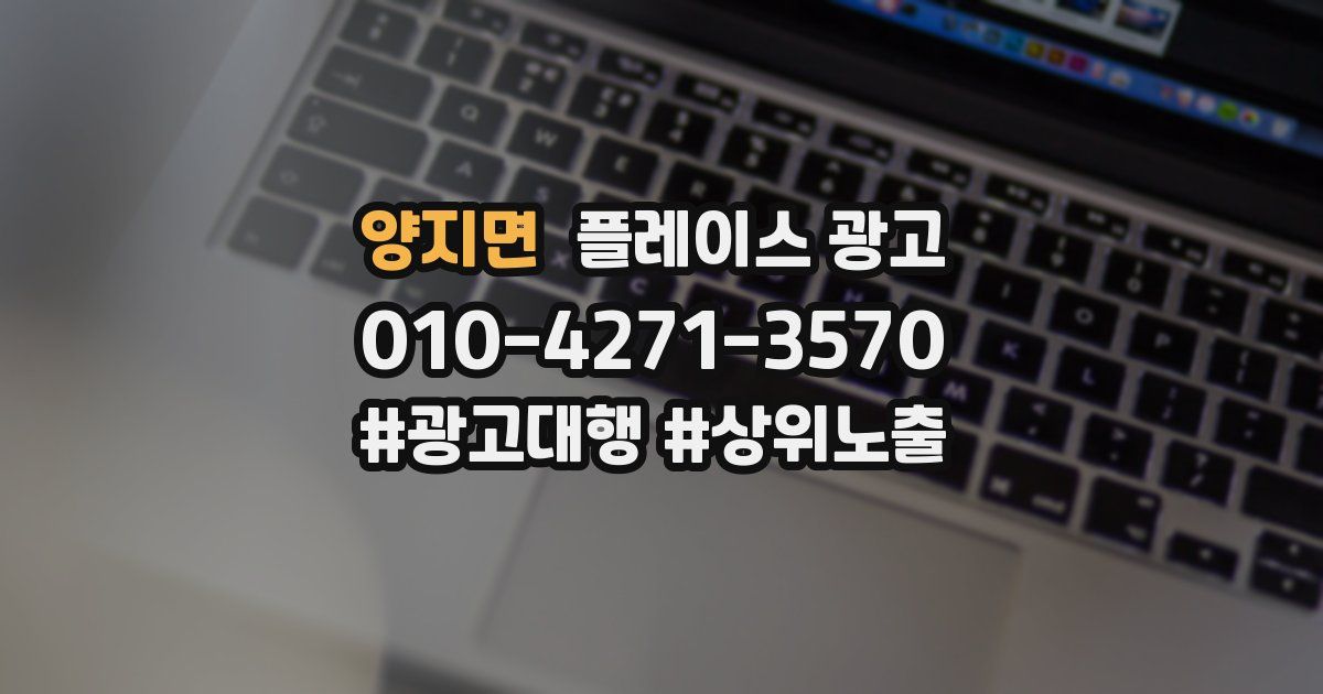 양지면 플레이스 광고