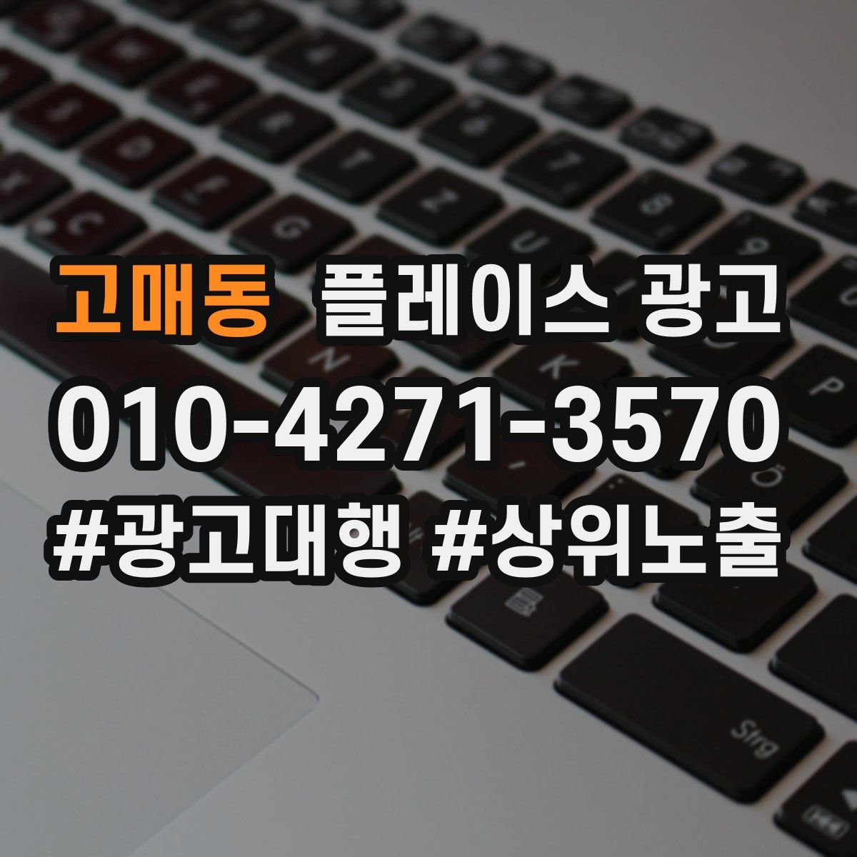 고매동 플레이스 광고
