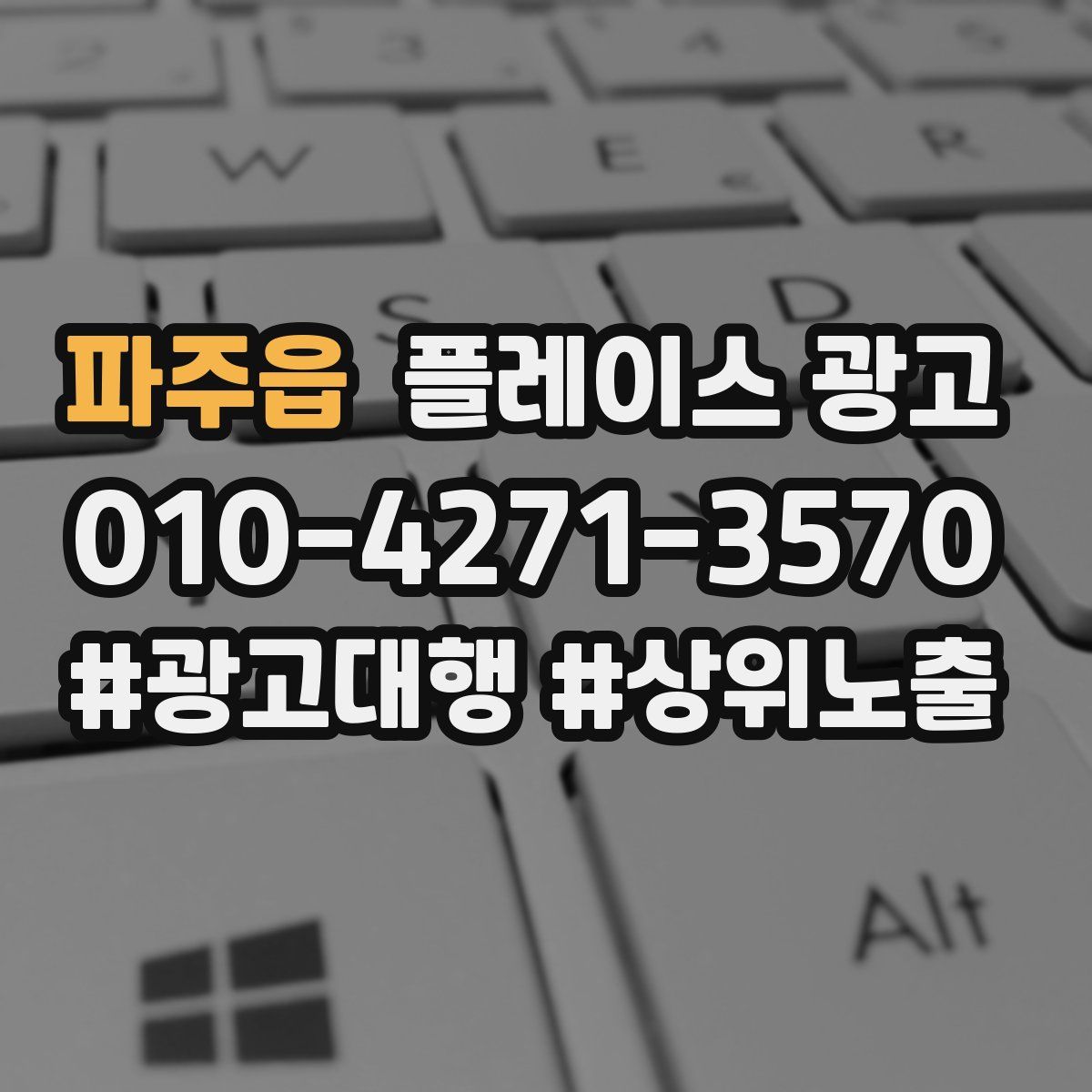 파주읍 플레이스 광고