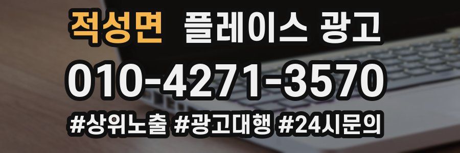 적성면 플레이스 광고