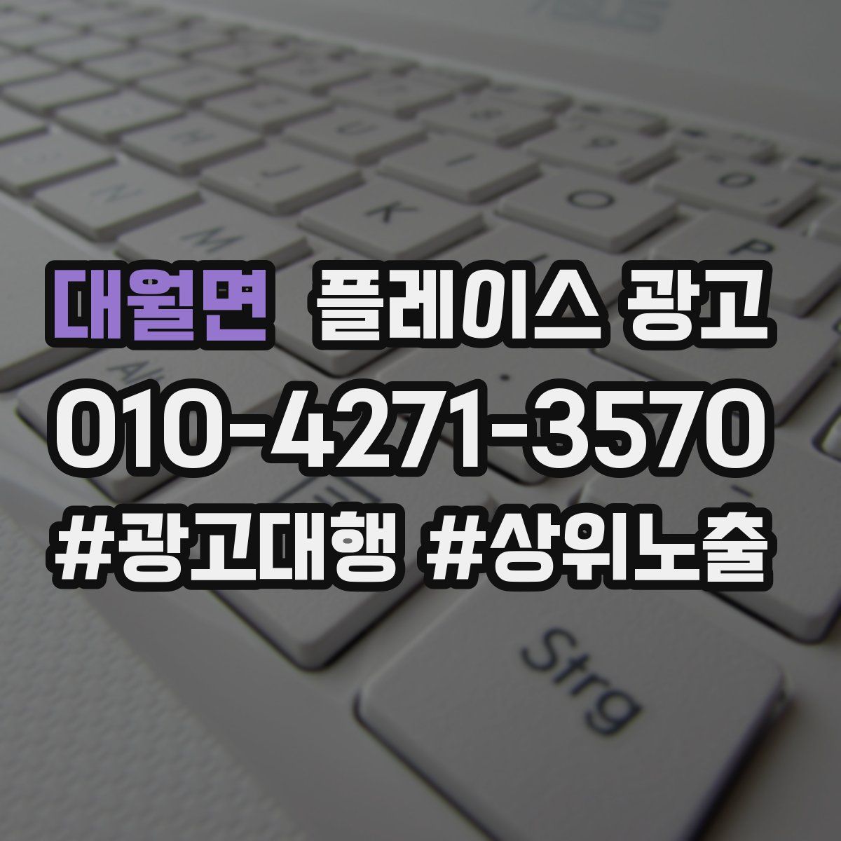 대월면 플레이스 광고