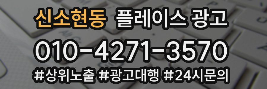 신소현동 플레이스 광고