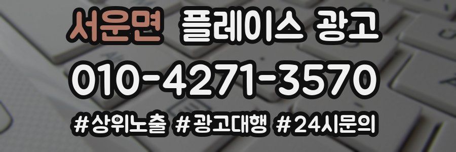 서운면 플레이스 광고