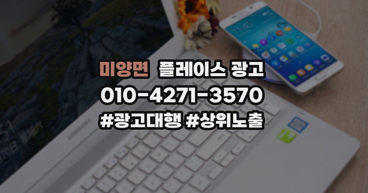 미양면 플레이스 광고